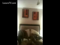 A homemade beastiality clip featuring a newbie of juvenile legal age
